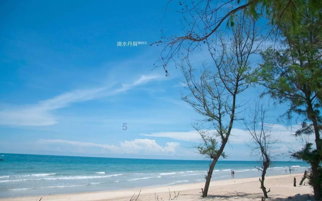 虫虫助手下载